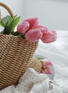 Soft pet fabric